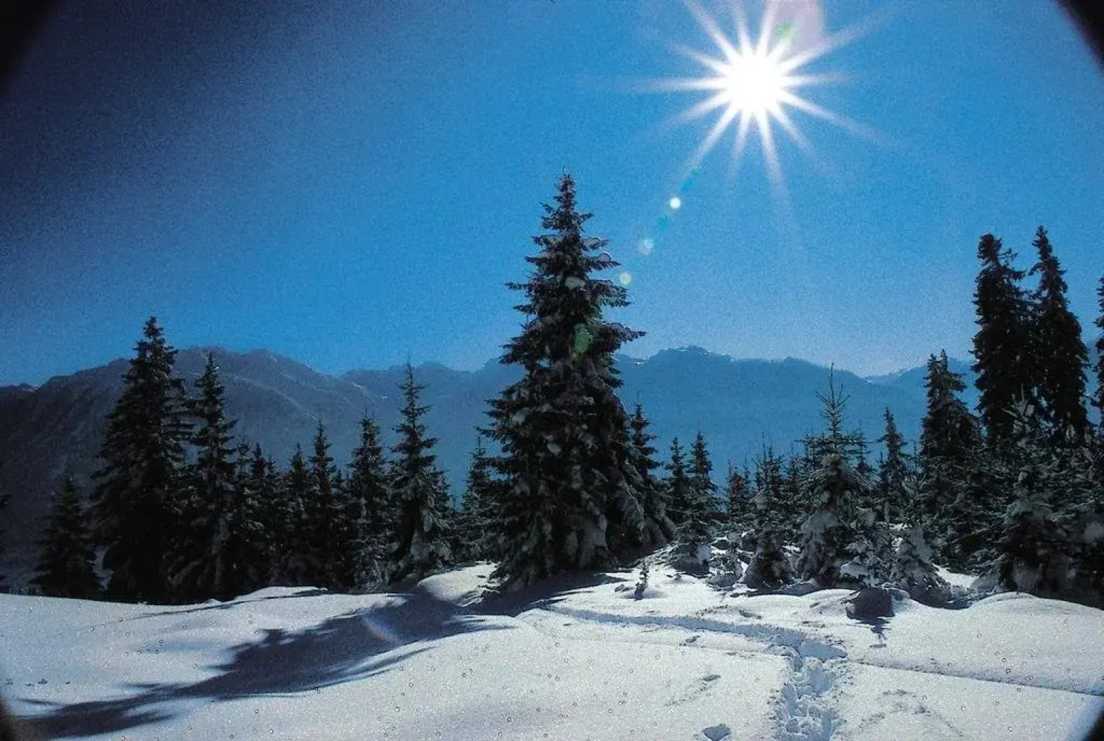 Ferienparadies Taxen