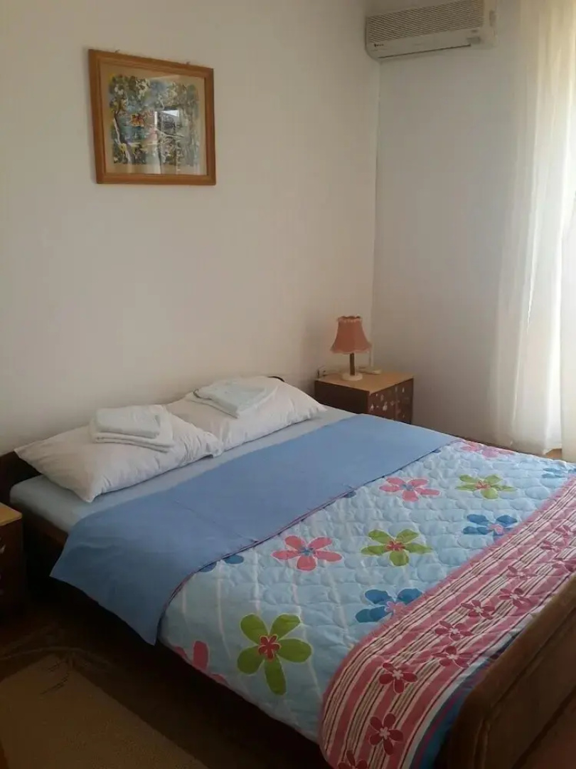 Apartments Andjus