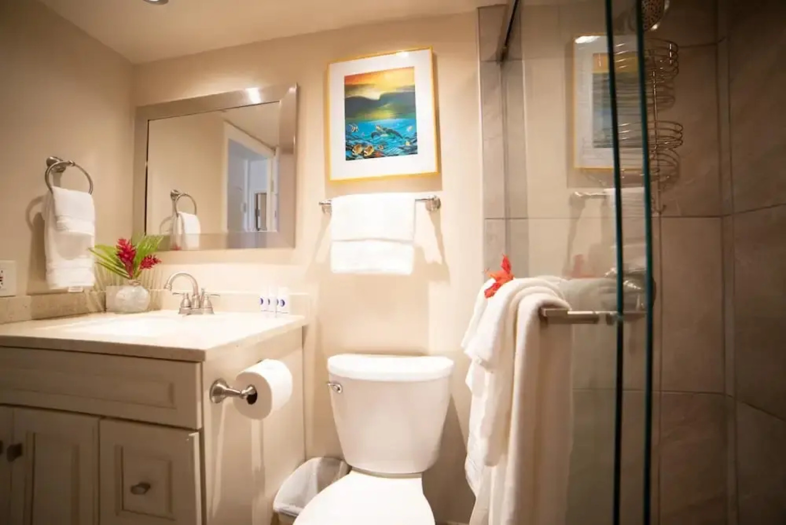 Maui Vista 1116 In Kihei