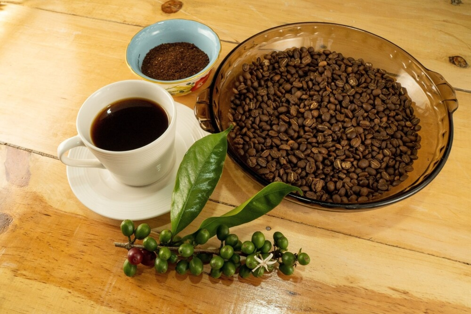 Rancho Fortaleza  Atitlan