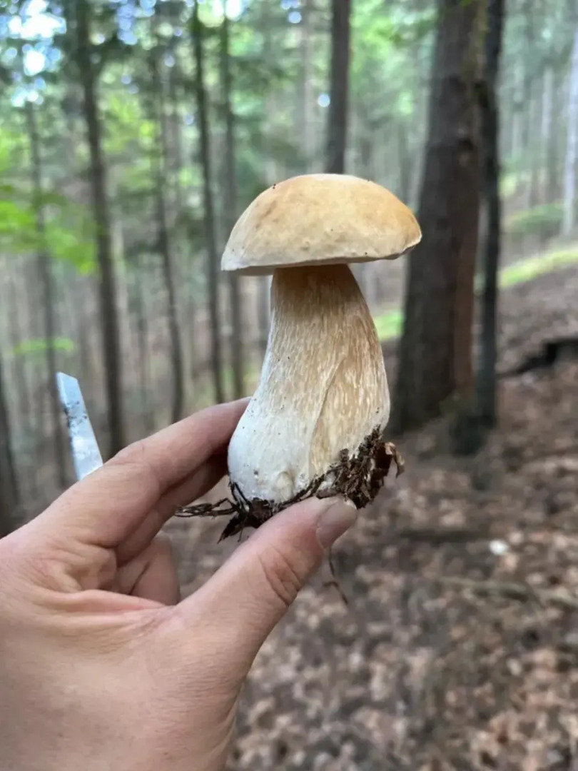 Dom Wypoczynkowy Pod Polanką