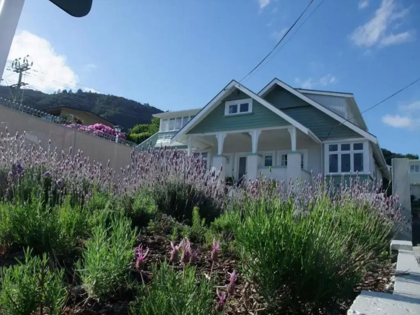 Picton House B & B