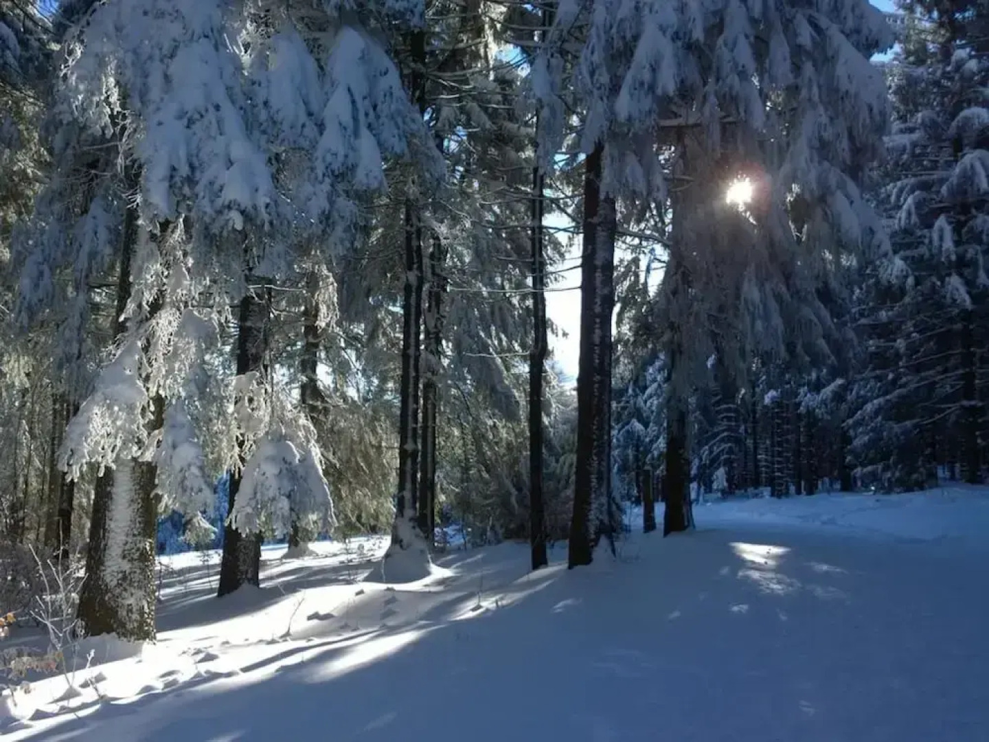 Ferienwohnung An den Kurwiesen