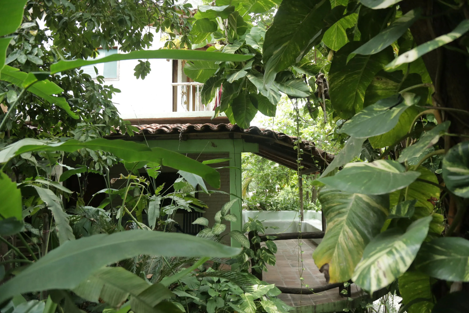 La Buena Vista