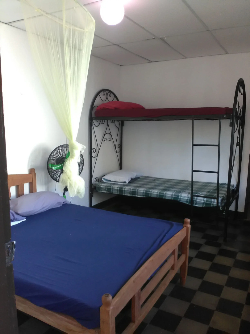 The Sleeping Dog Hostel