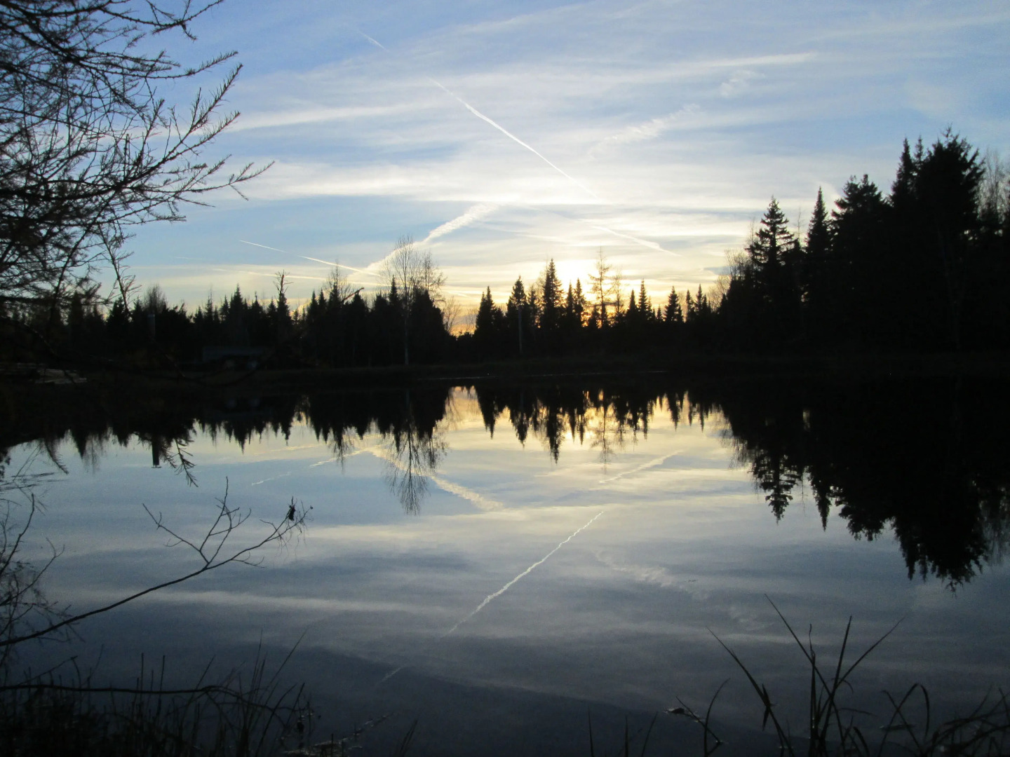 Le Jardin des Mésanges