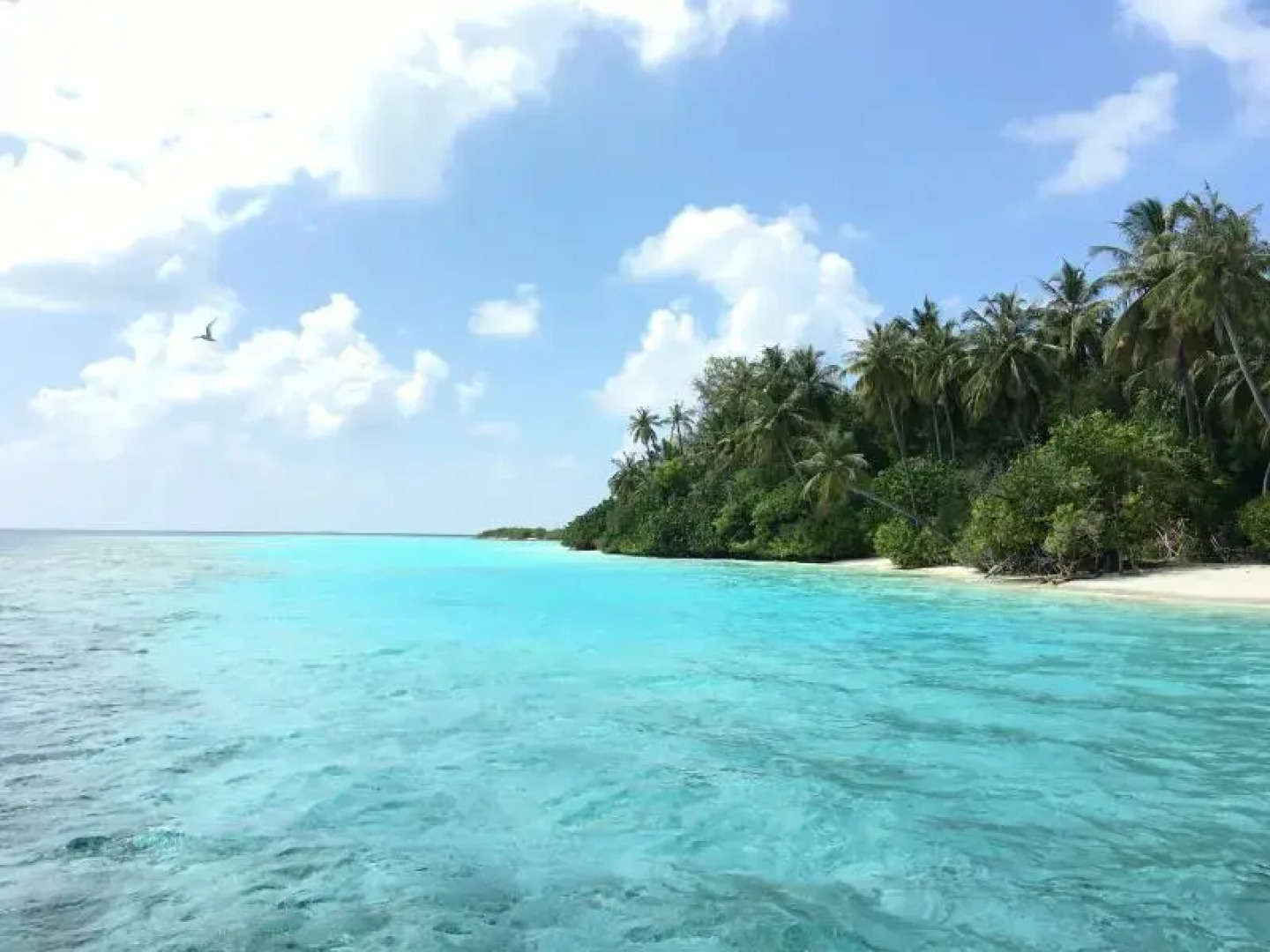 Siesta Inn at Maafushi