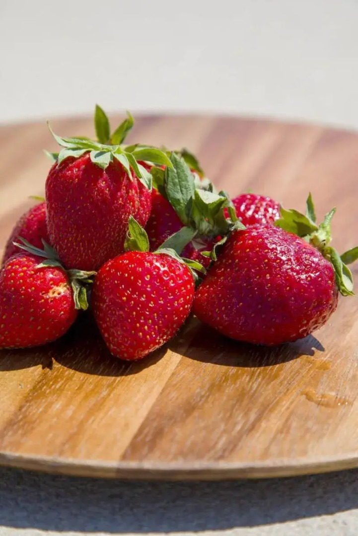 Jenny's Summer Houses