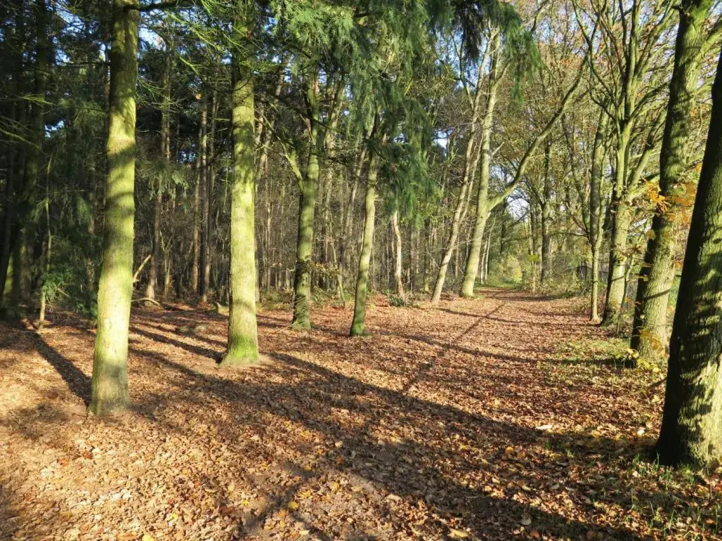 Appartement de Runsvoort