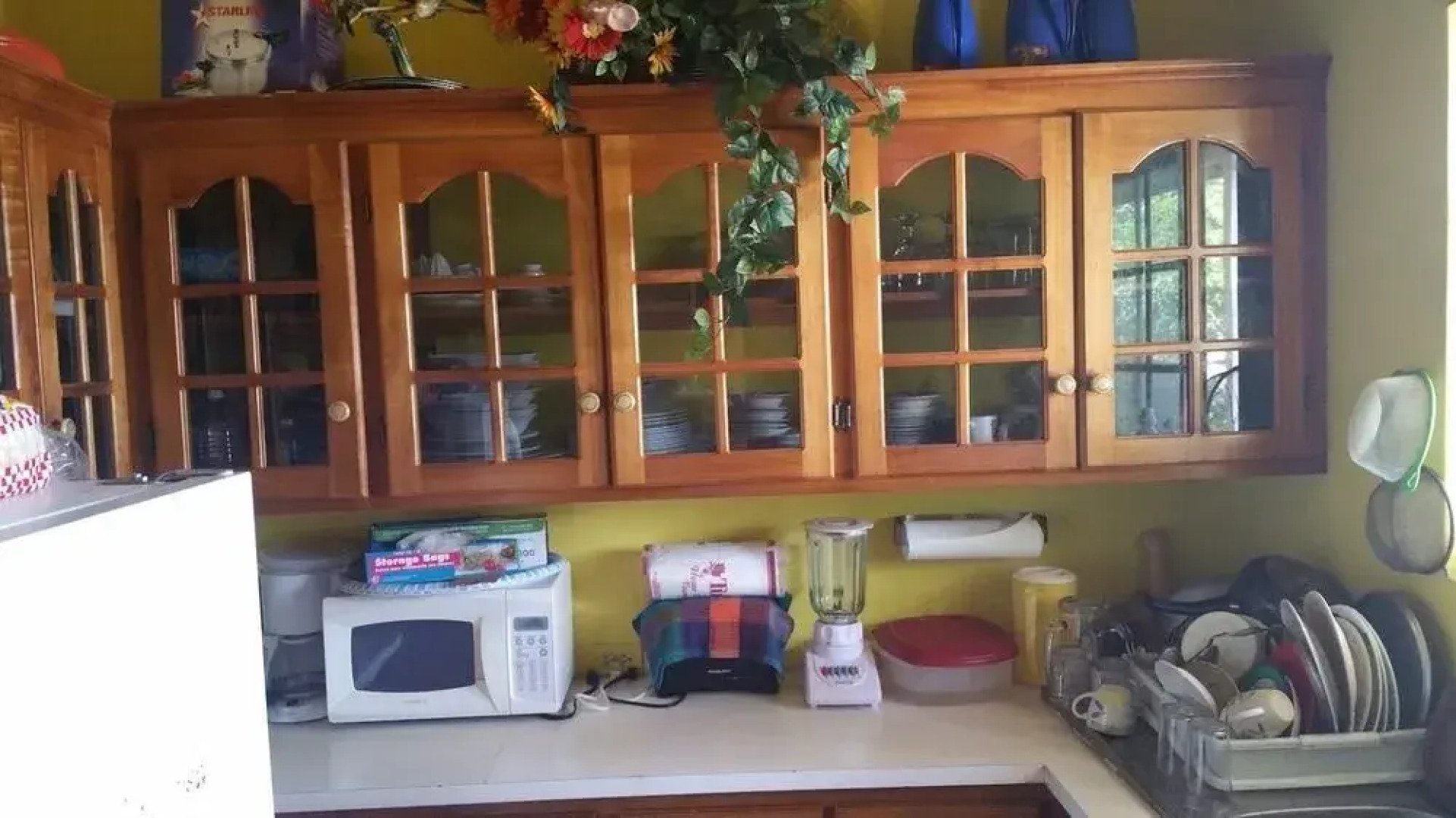 The Inn At Great Bay Treasure Beach Jamaica