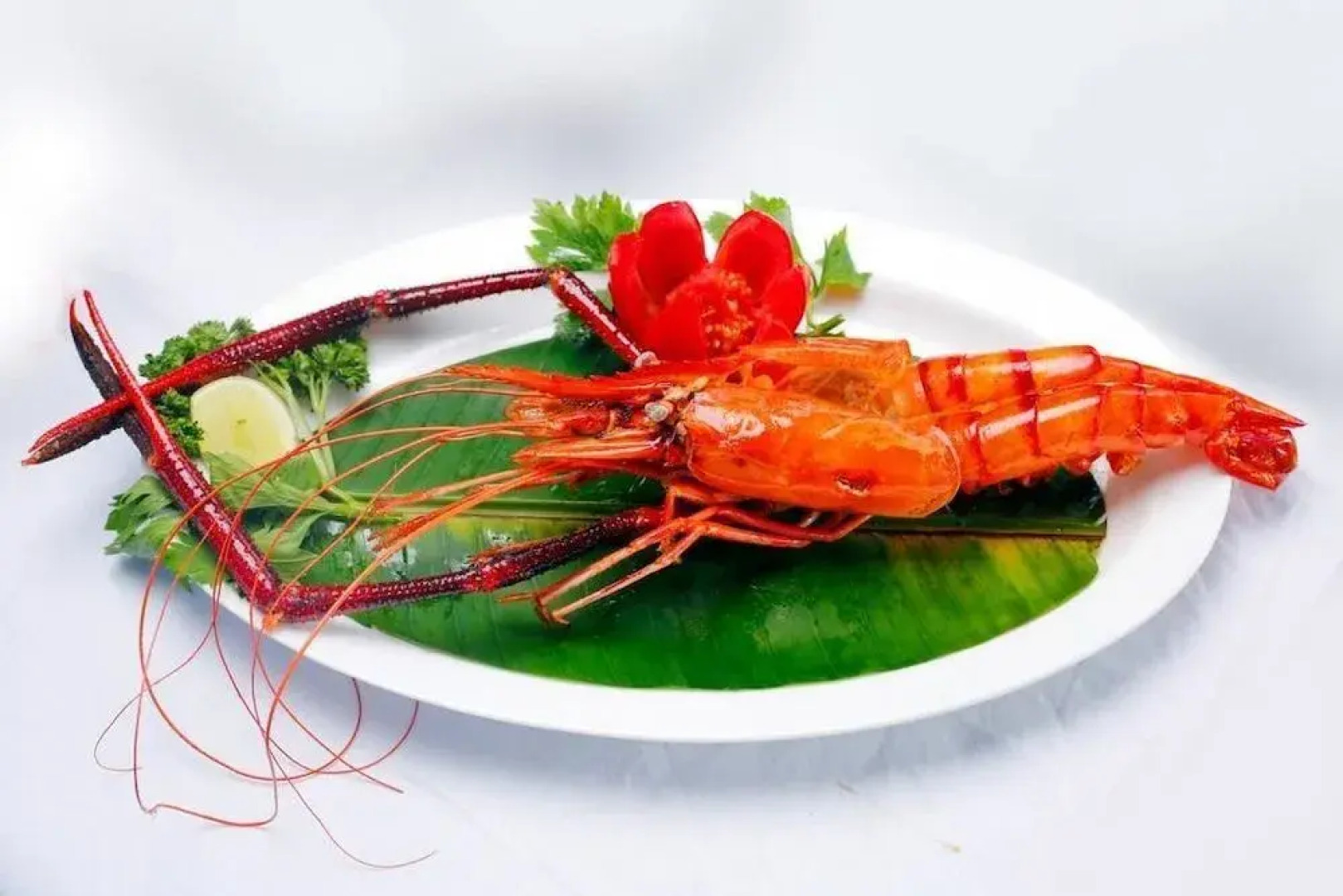 Green Fields Kumarakom