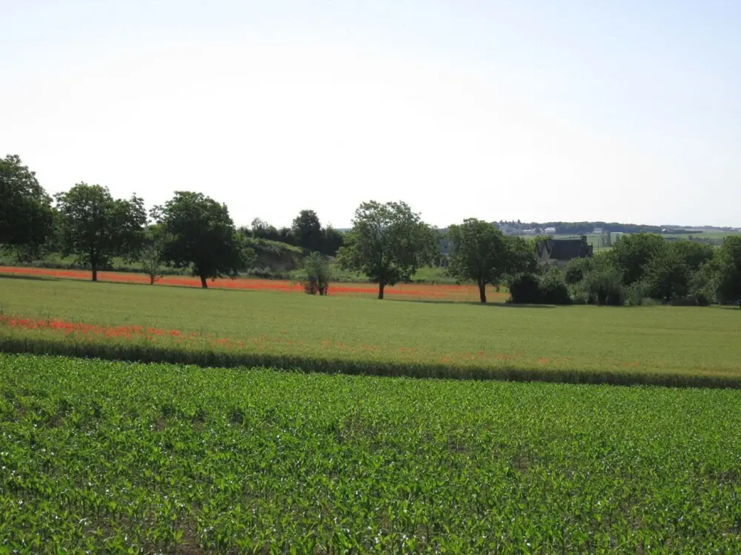 Cozy Holiday Home Near Forest in Lerné