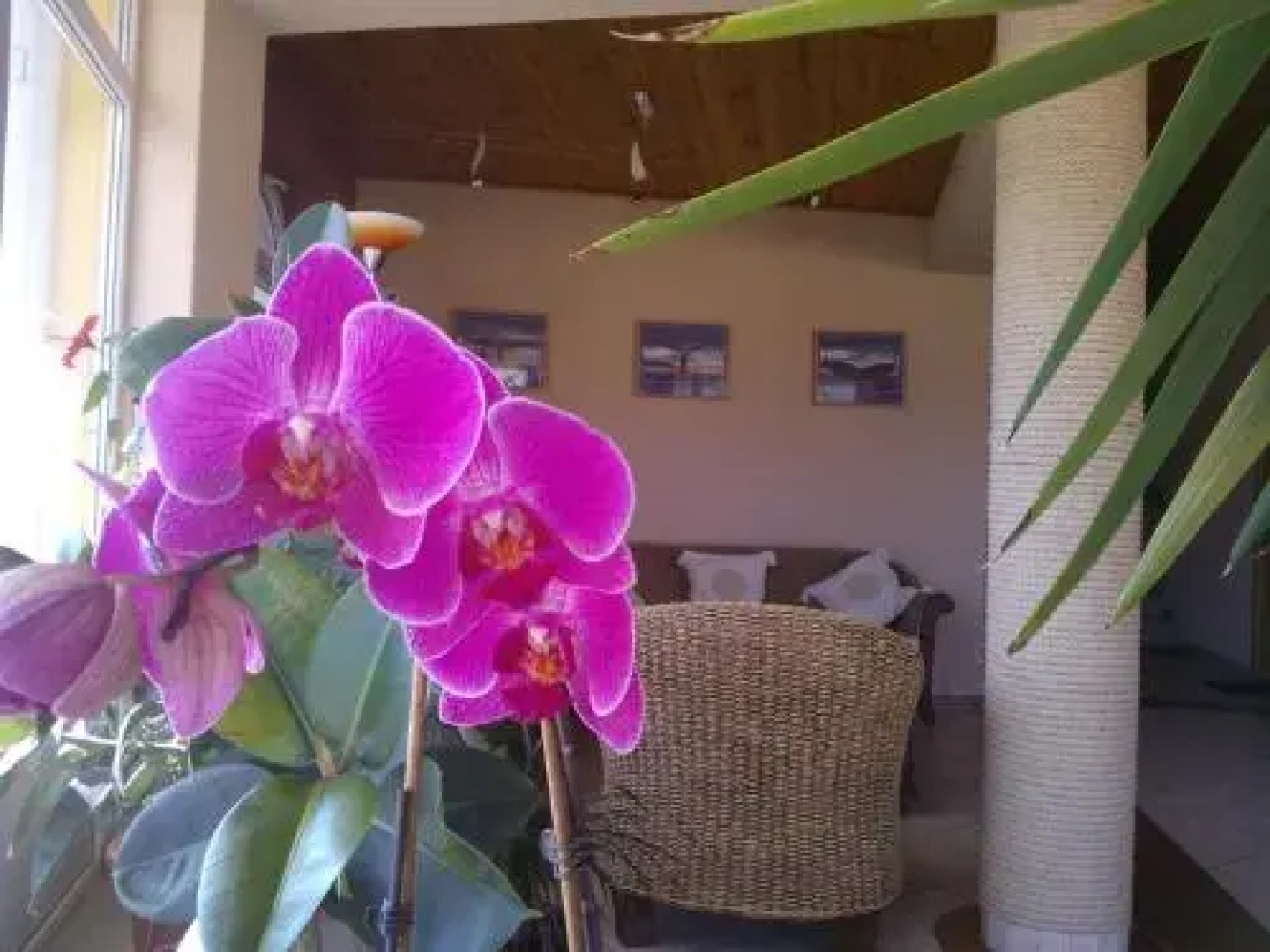 Nautilus Étterem és Panzió