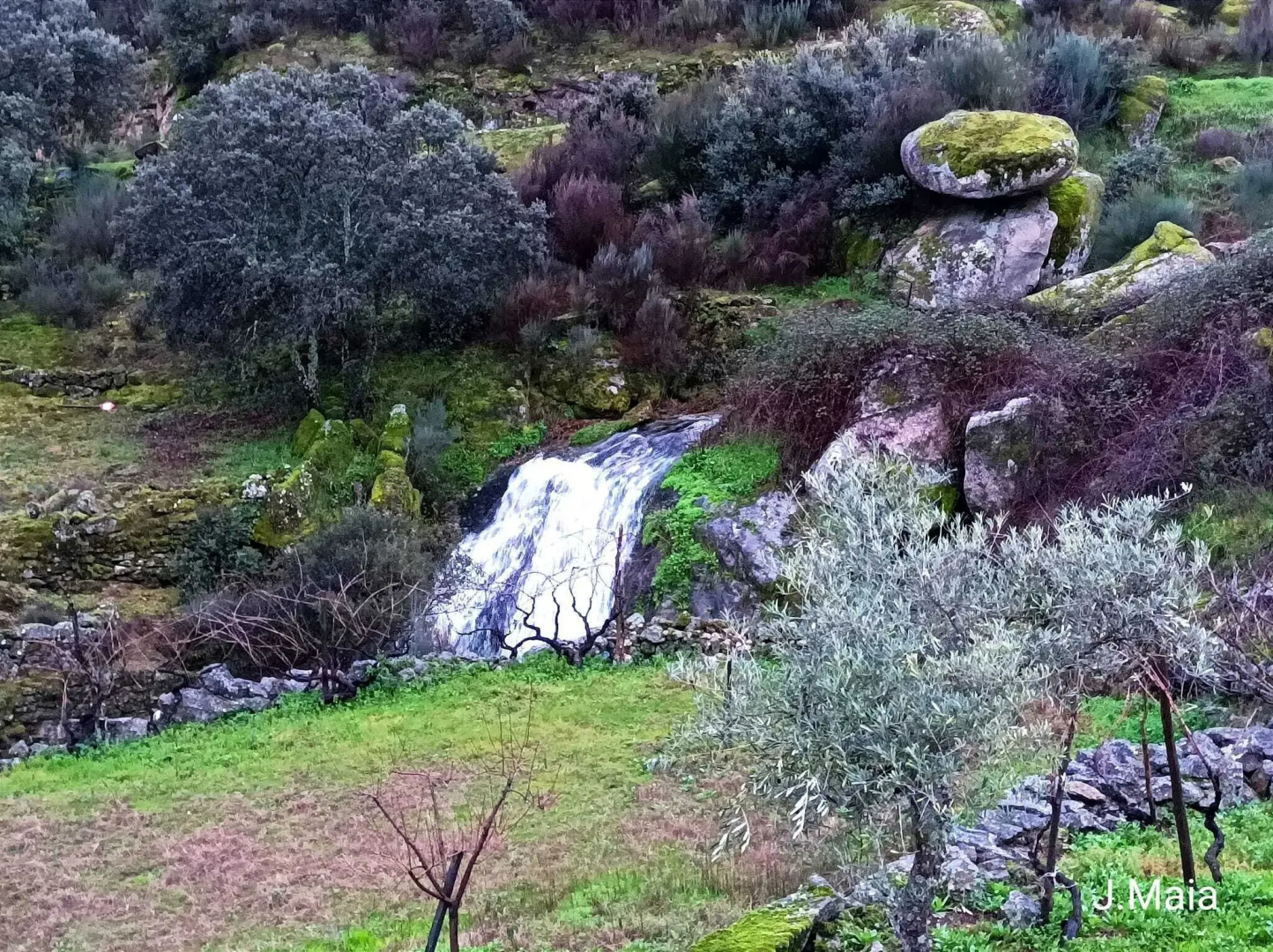Stunning House in Mirandela Ideal for 10 People