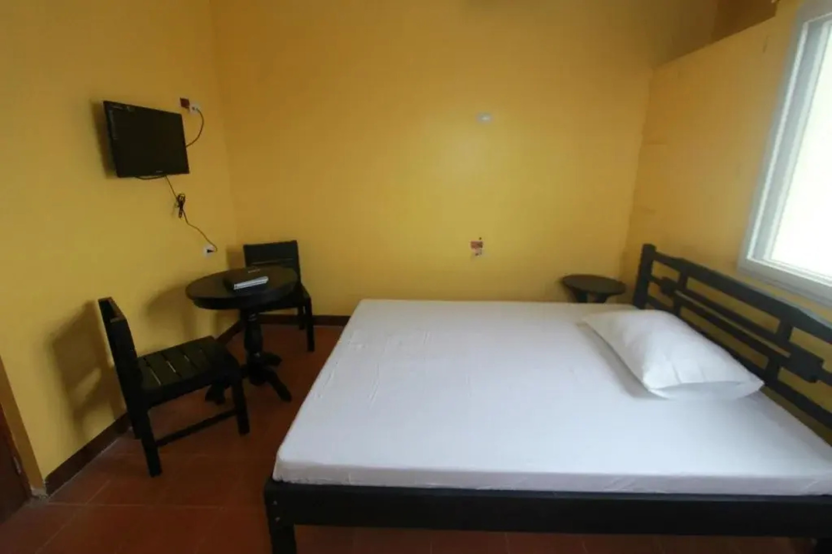 D-Zone Backpackers Inn - Hostel