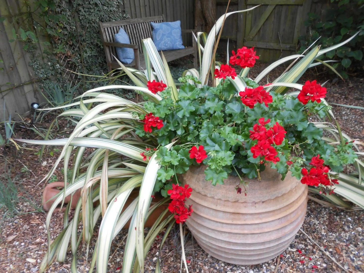 Sunnybank House in North Epsom