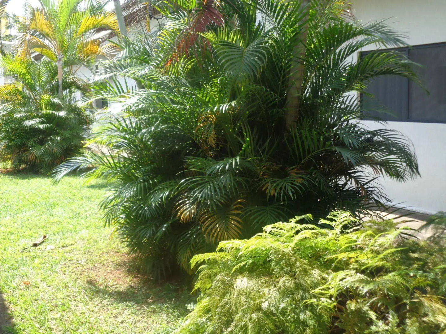 Rio Claro Plaza Hotel