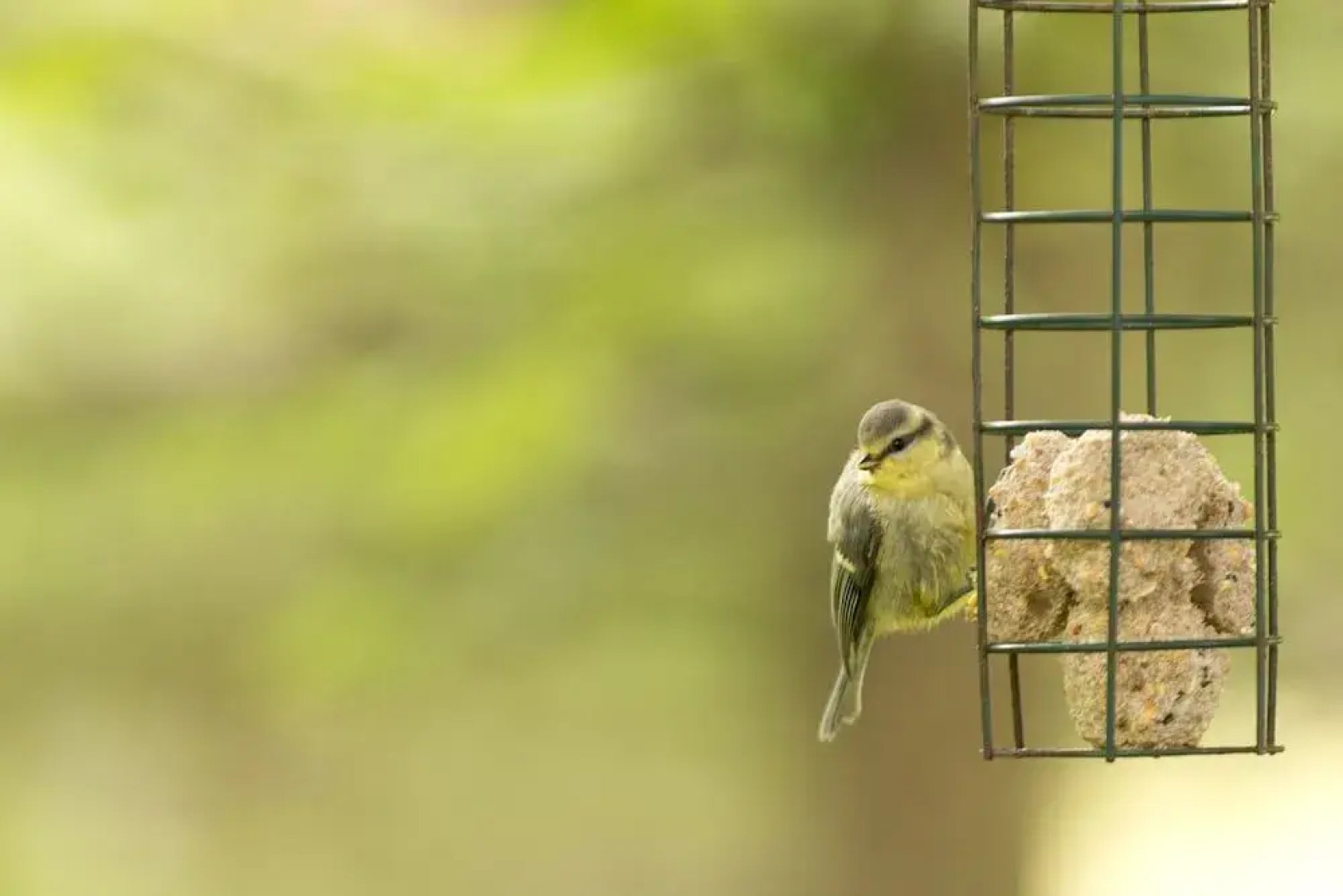 YHA Coniston Coppermines