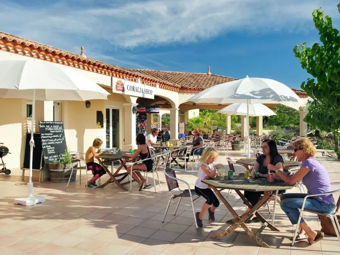 Attached House With Terrace or Loggia Located in Languedoc