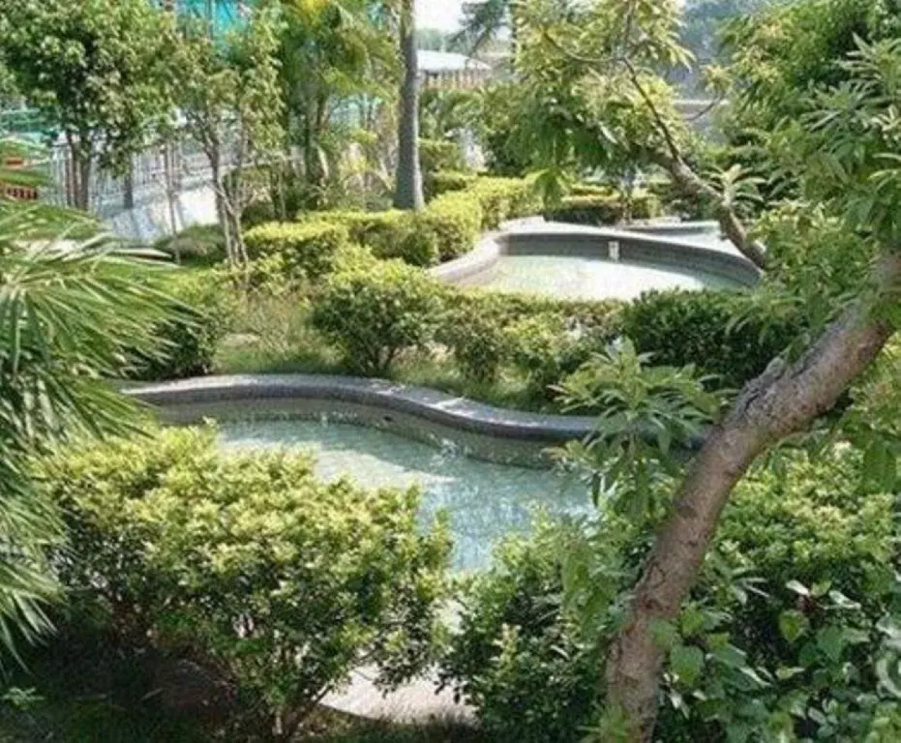 White Cloud Hot Spring Farm Stay