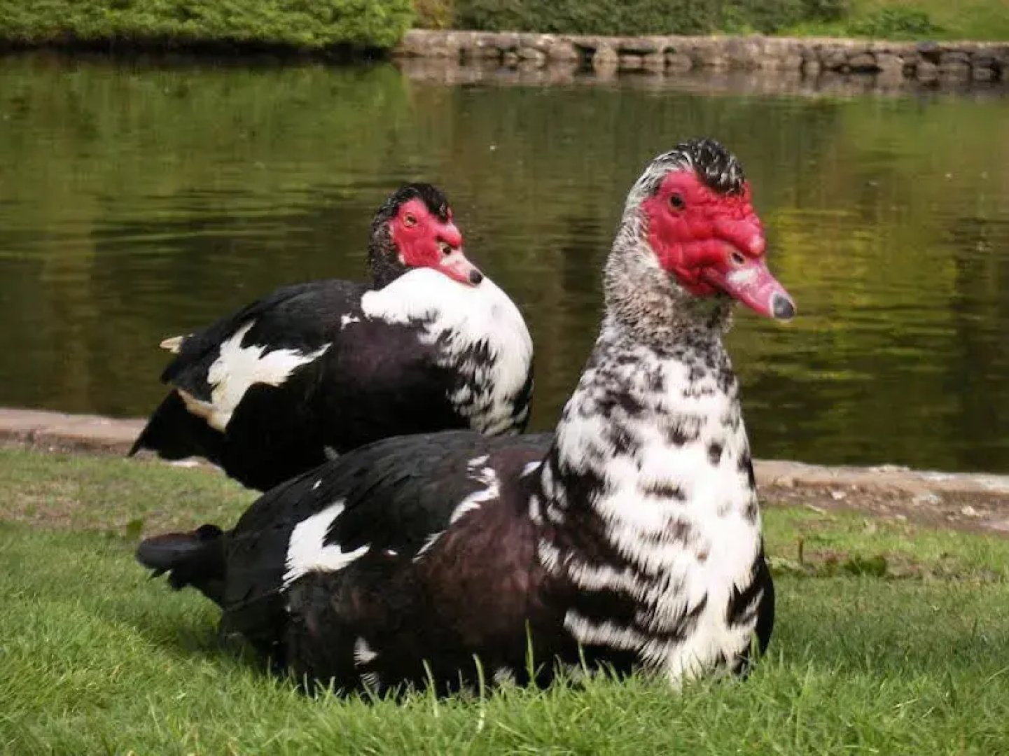 The Westminster Hotel