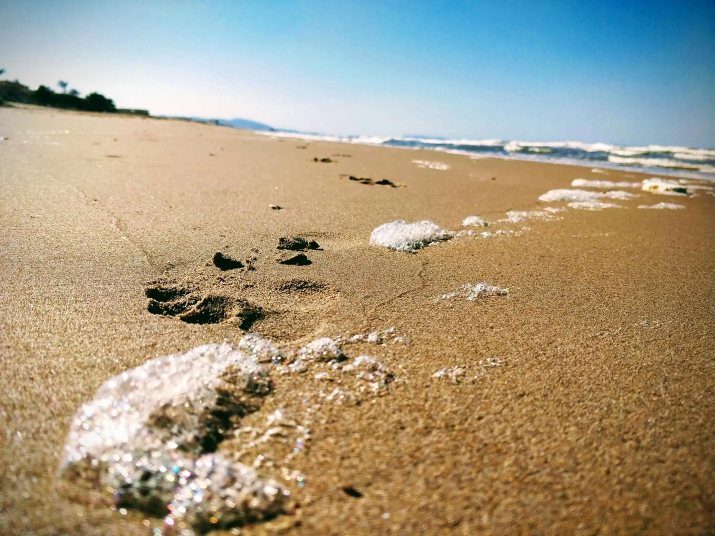Apto con Vistas al Mar Playa de Piles
