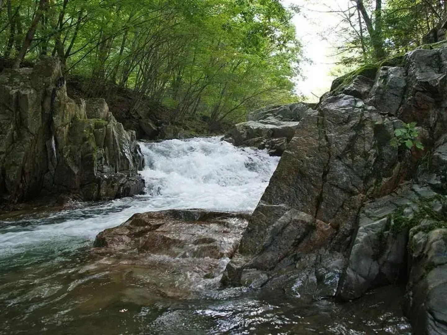 Shine Valley Pension