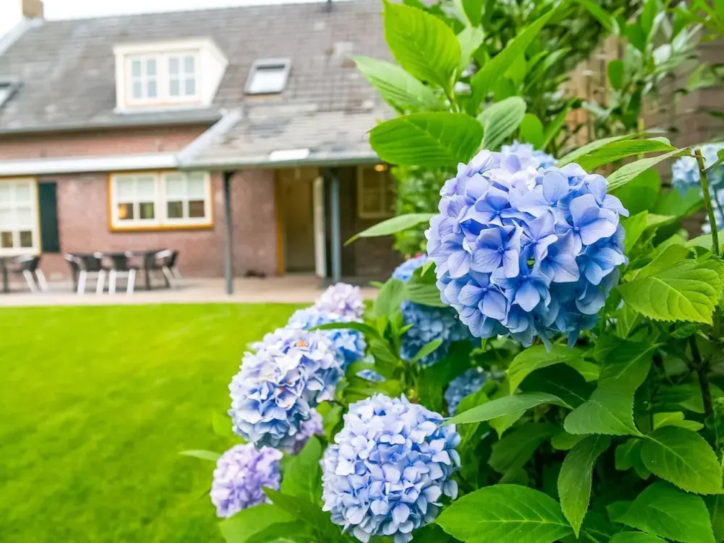 Modern Holiday Home in Diessen with Forest Nearby