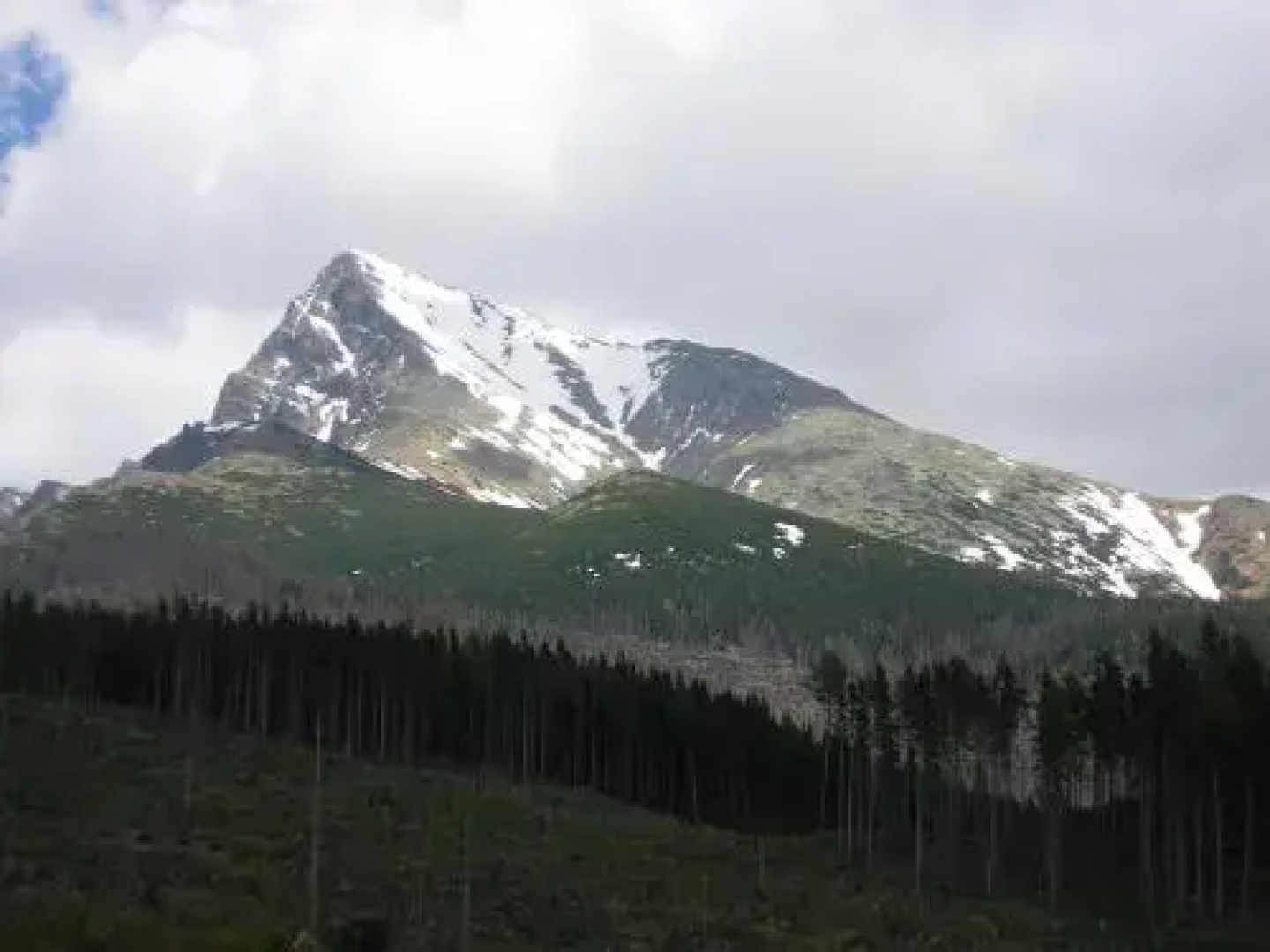 Penzion Veverica