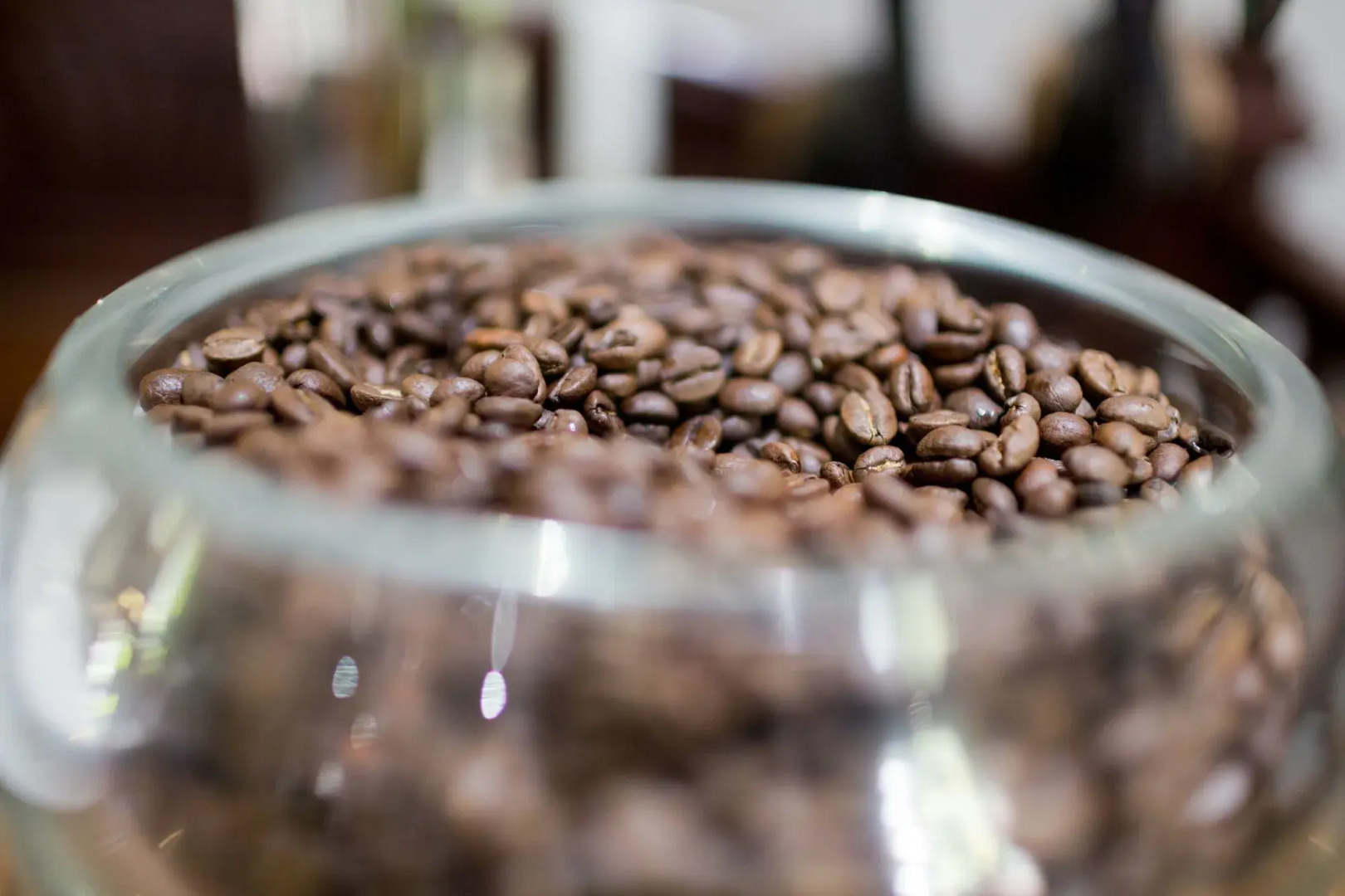 Murray Street 137 Guest House