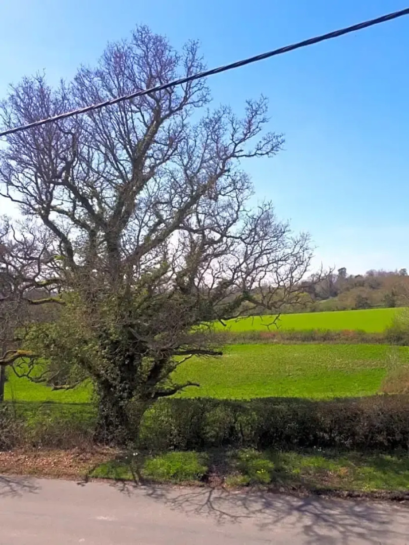 Court Barn Cottage B&B