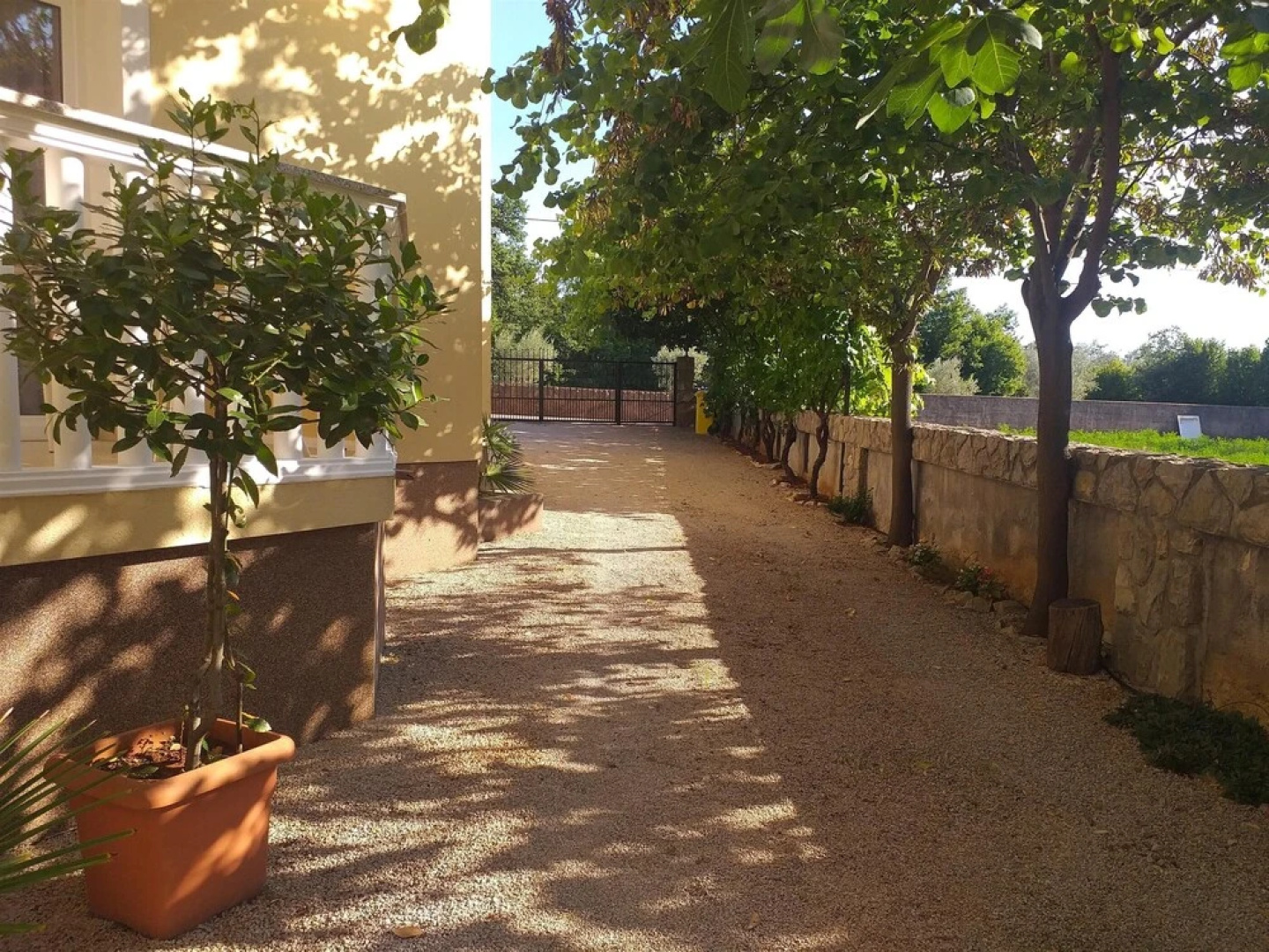Apartments Vesna