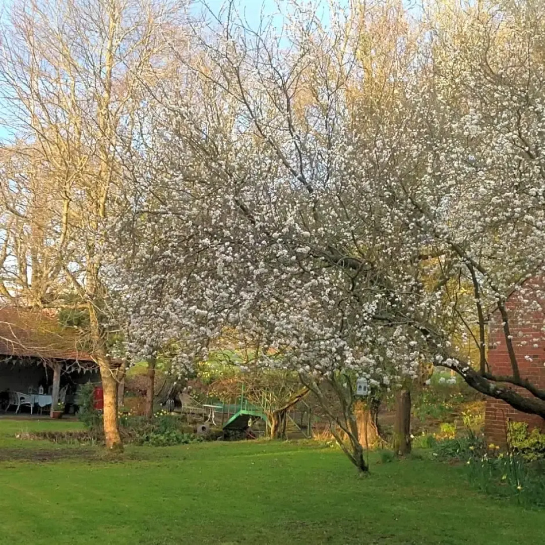 The Studio @ Great Streele Cottage