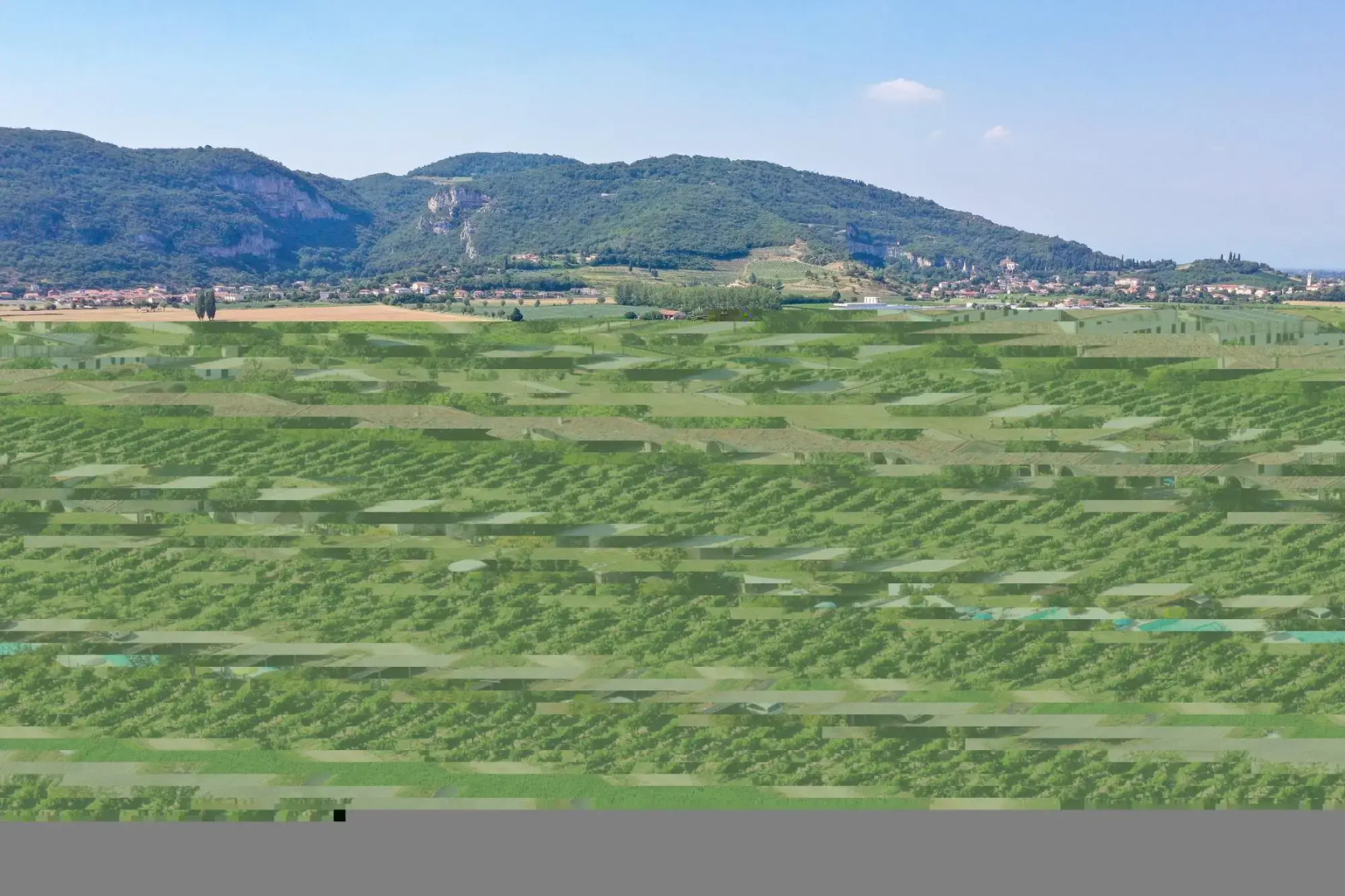 Tigli apartment with two bedrooms and one bathroom on the second floor with 4 metre glass window (apartment 6)