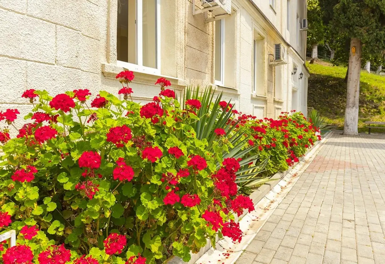 Репруа, корпус № 3 пансионата "Холодная речка"