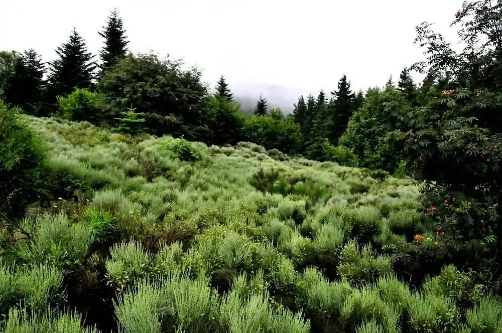 Apartment With 3 Bedrooms in Pélussin, With Wonderful Mountain View, Furnished Terrace and Wifi - 18 km From the Slopes