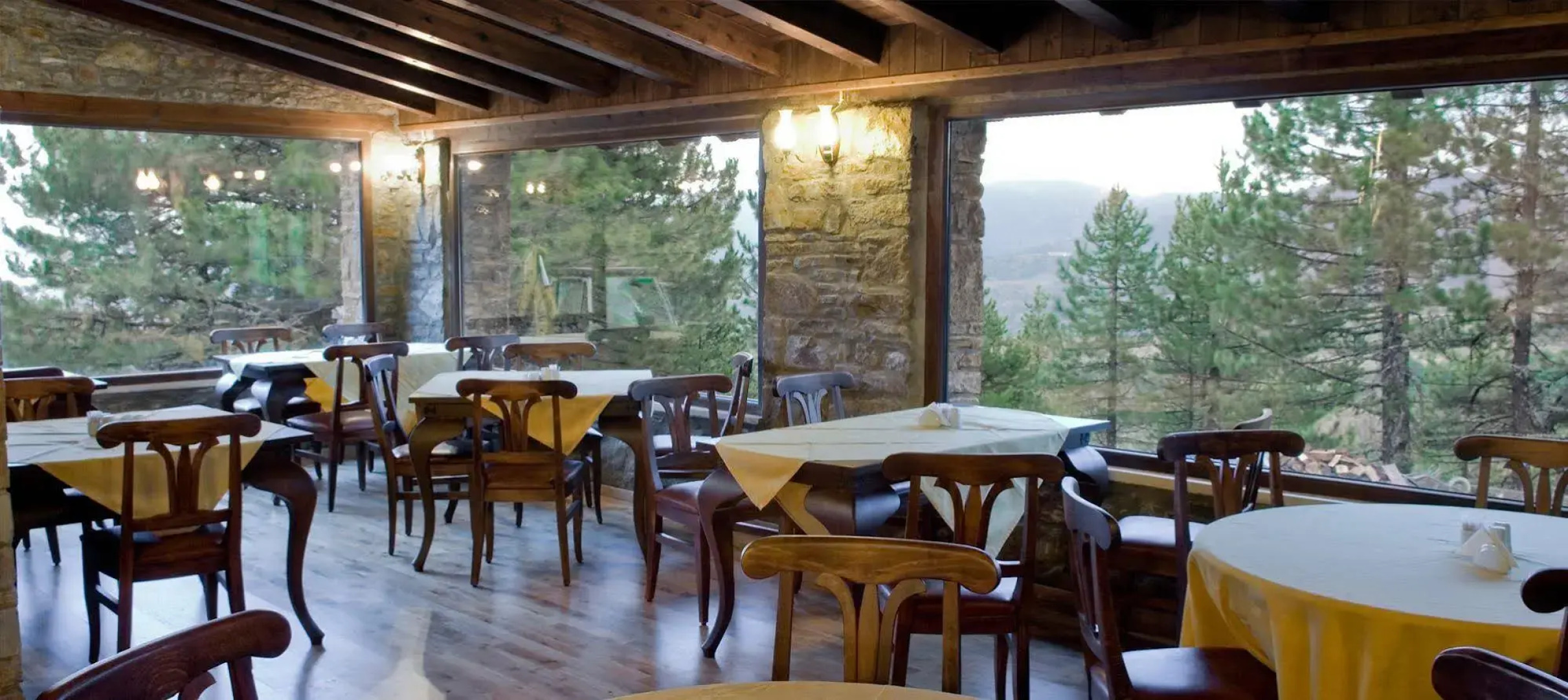 Vasilitsa Spa Resort