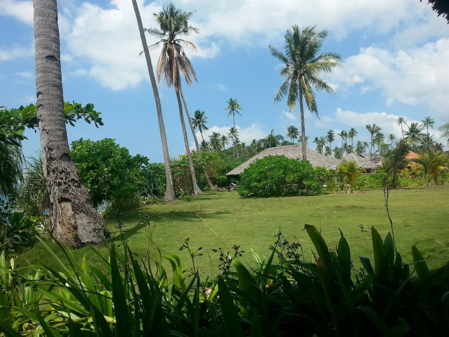 Trikora Beach Club & Resort