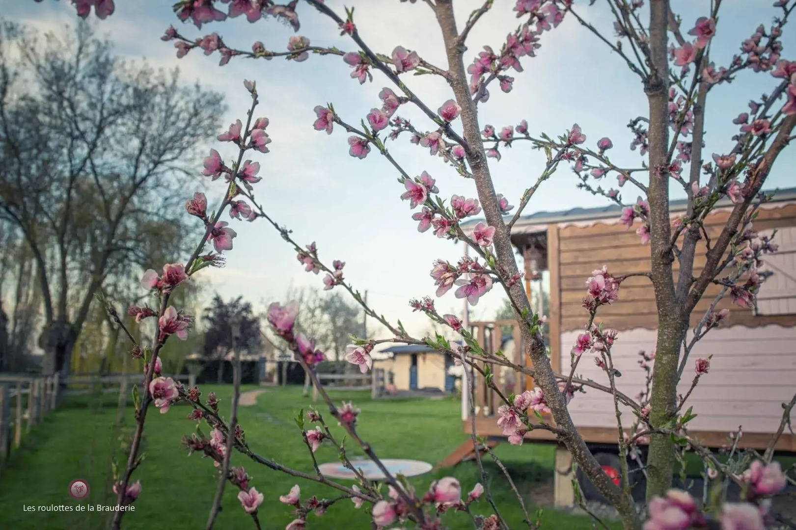 Les Roulottes de la Brauderie