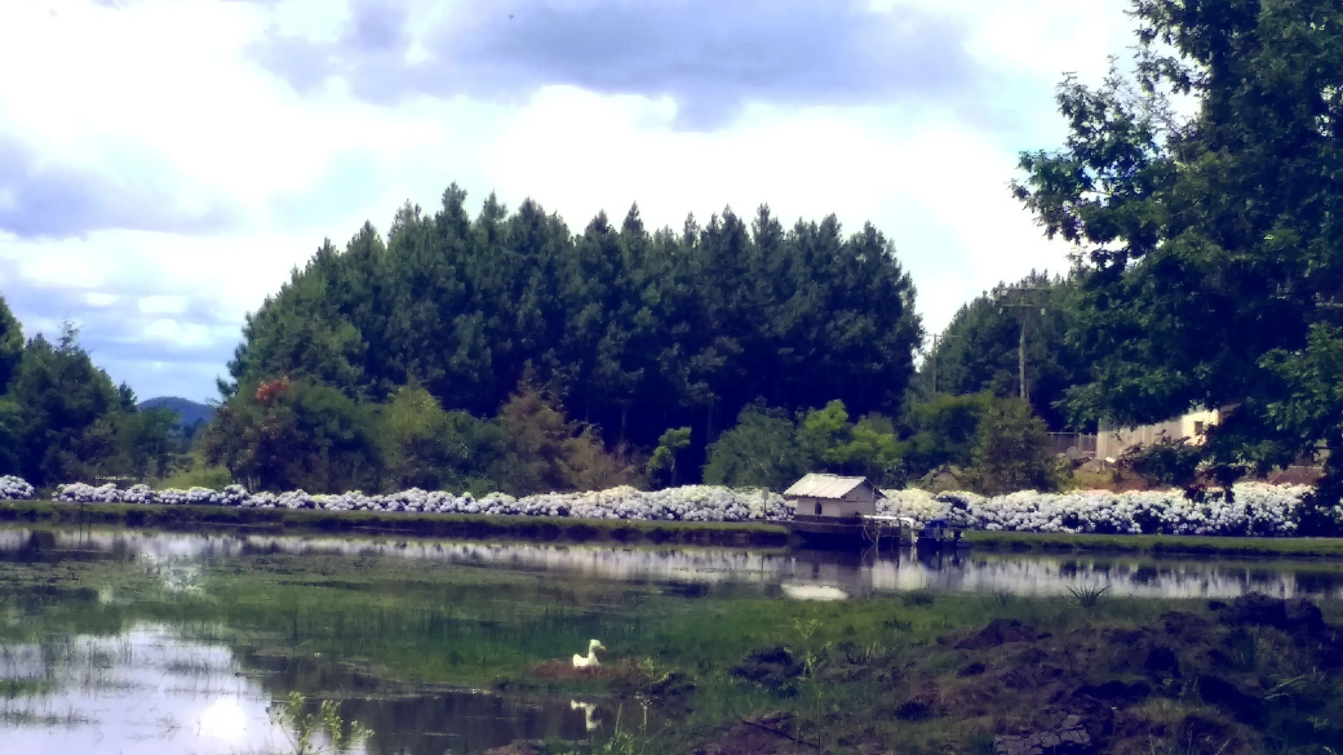 Pousada Recanto do Lago