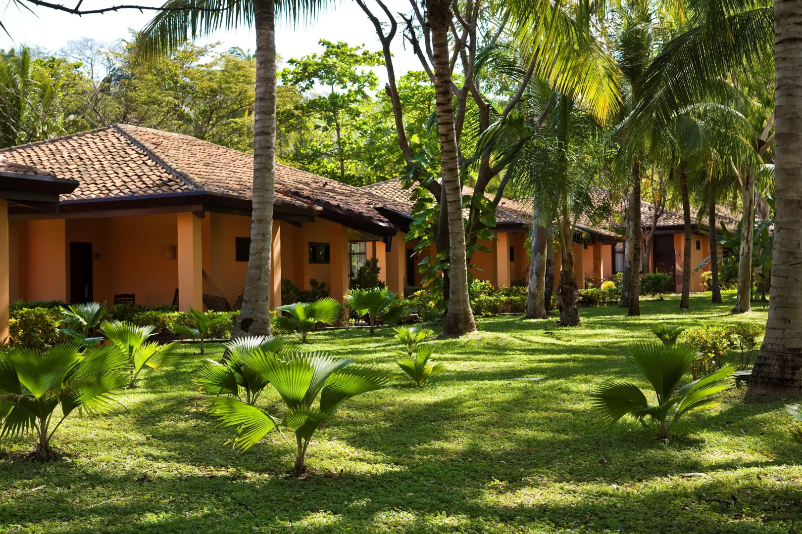 Barceló Montelimar - All Inclusive