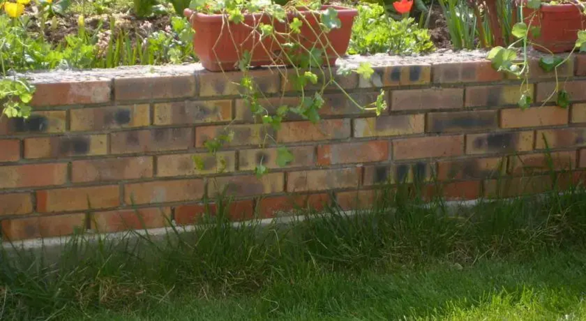 Sotirovi Guest House