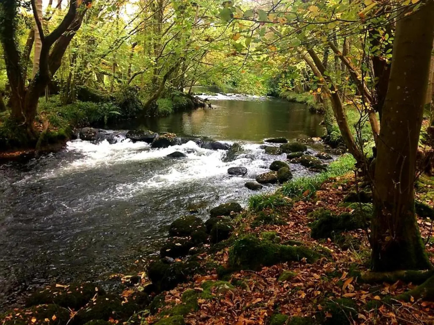 89 Lower Lakeside - Glan Gwna Holiday Park