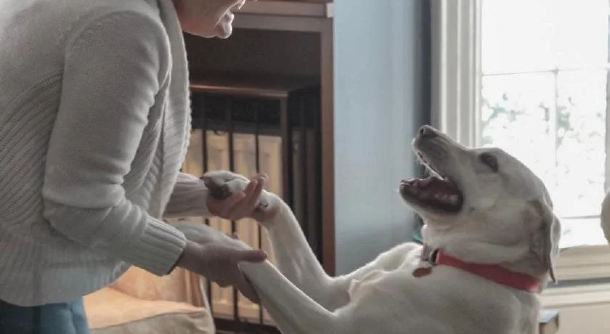 Admiral Peary Inn Bed & Breakfast