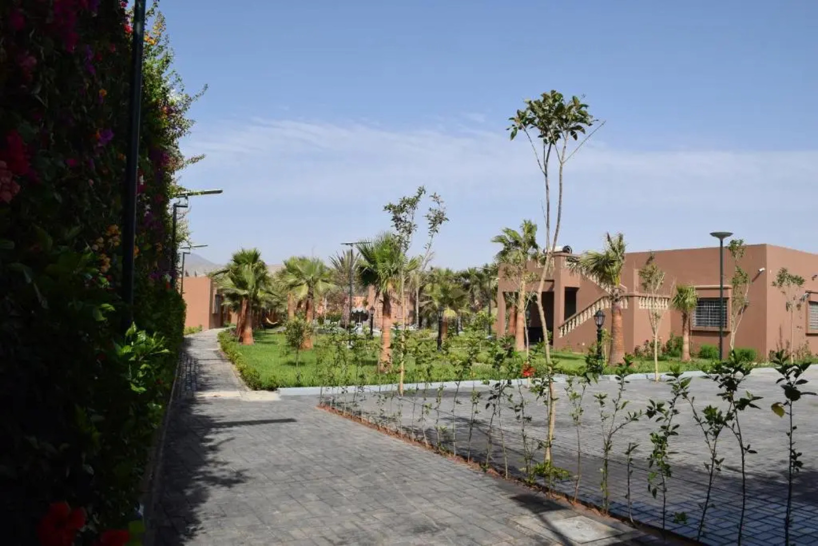 Tamraght House Banana