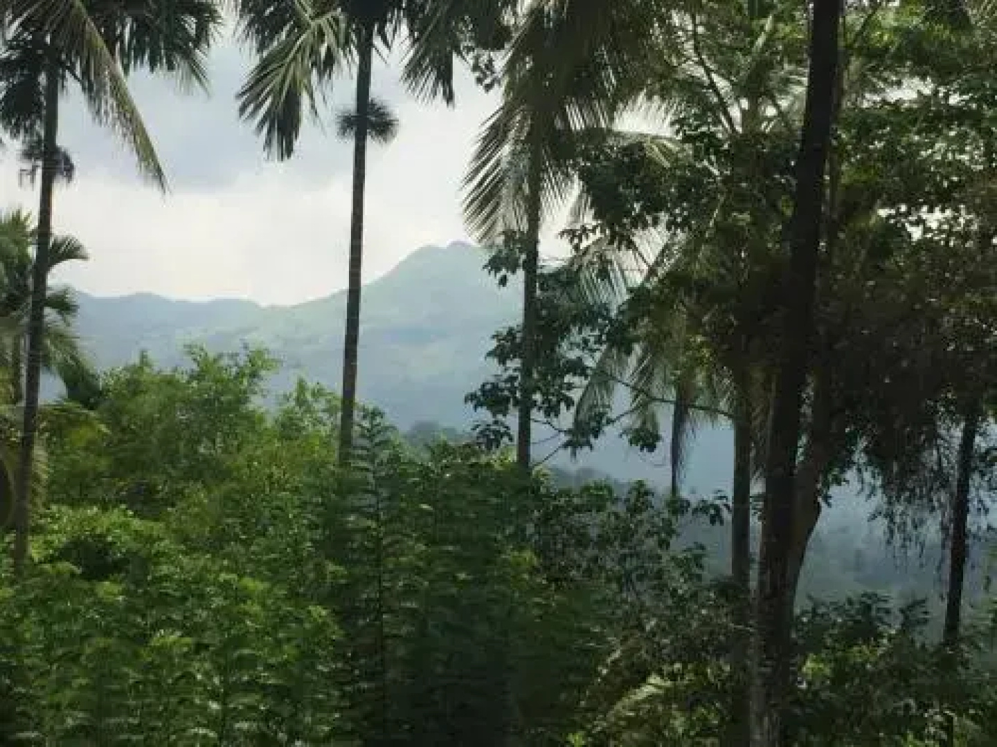 Wellbeing Resorts