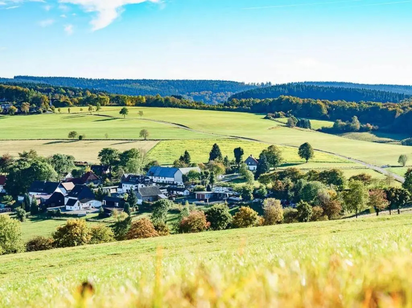 Cafe-Restaurant Vedder