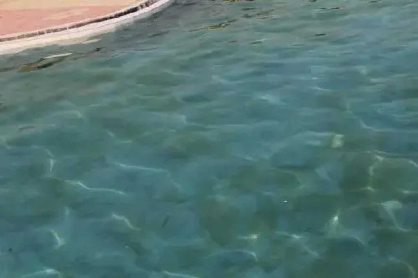 Sorath Hotel & Resort