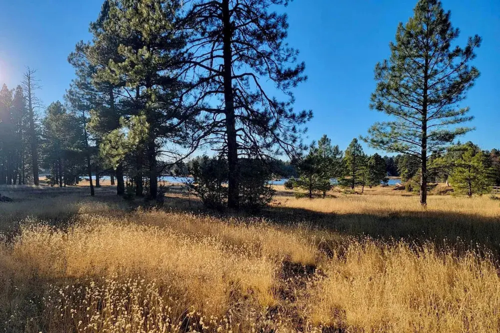 A-frame Munds Park Retreat: 35 Miles to Snowbowl