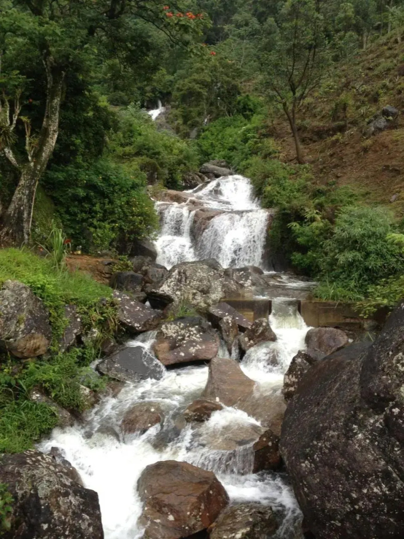 Singha Sanasa Luxury Homestay